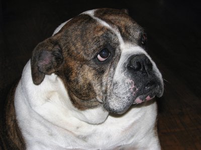 Spanky_0714.jpg