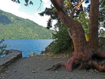 Lake Crescent