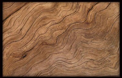 driftwood-close-s.jpg