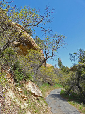 along the path at Spruce Tree House - Mesa Verde