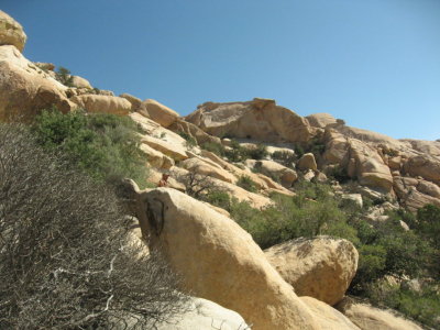 Looking up towards the Throne