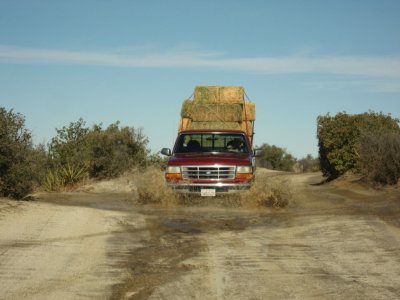 Taking hay to the ranch