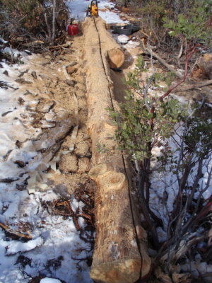 Cutting posts