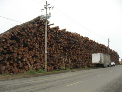 Massive Log Stack