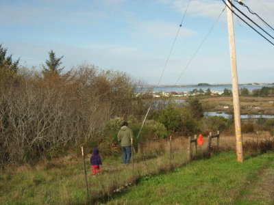 Hiking down the hill
