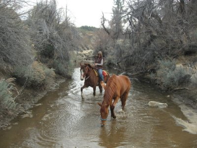 Me on Mojave with Tajo playing in the water