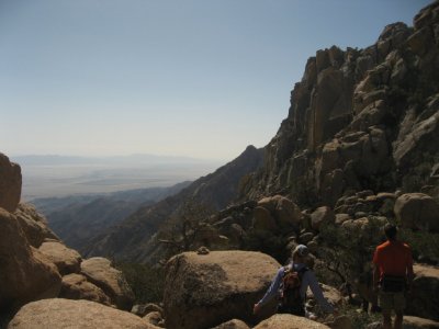 Desert view in background