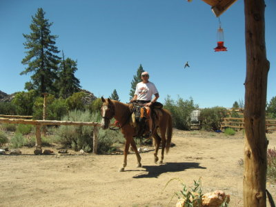 Werner returning from climbing - Note the hummingbird which appears it is falling backwards