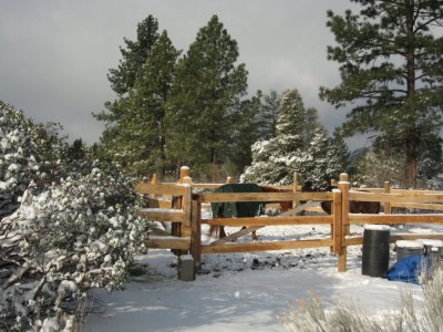 Snowy corral