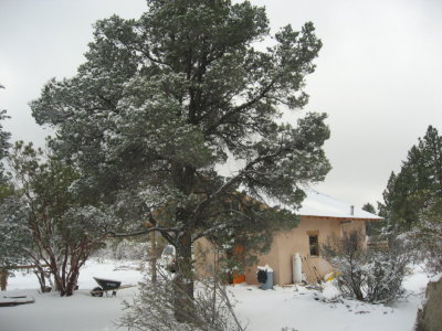 Back of the house