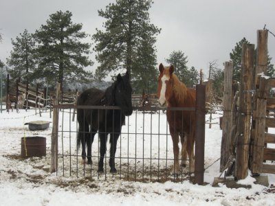 The Old Guys Chanate & Gavilan