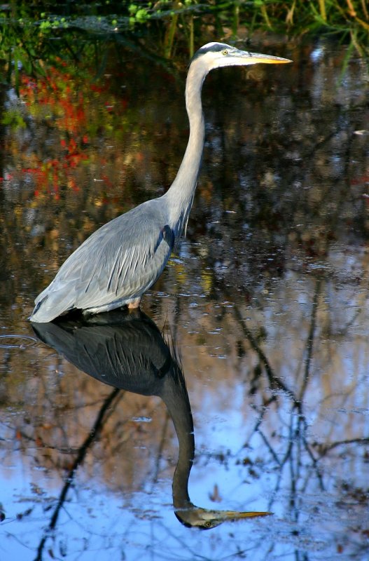 Wheaton Regional Park