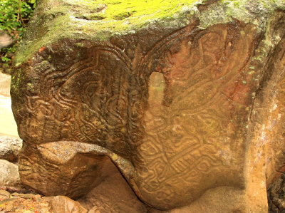 Petroglyph in SJDS