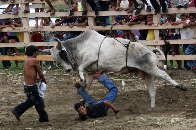 Bull Riding in San Juan del Sur, Nicaragua