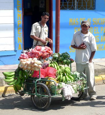 Veggie Vendor