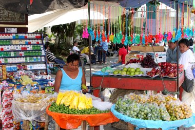 Vendor In The Park