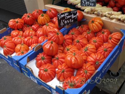 IMG_1017.jpg
