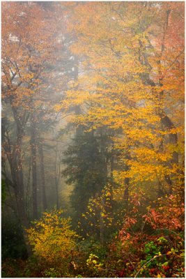 Great Smoky Mountains National Park