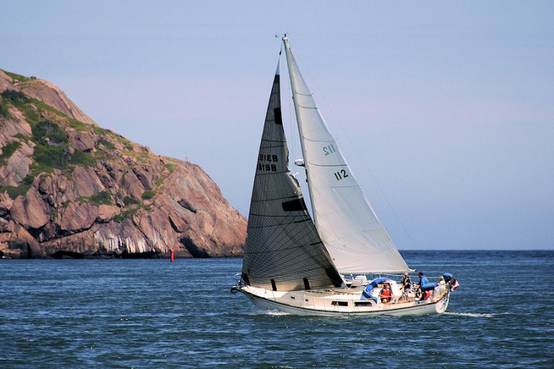 DSC08950 - Sailing in the Harbour