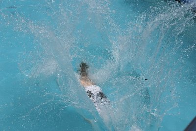 DSC03244 - Belly Flop Contest