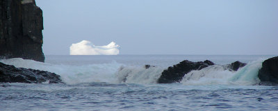 Iceberg 2008 177 - Middle Cove, NL