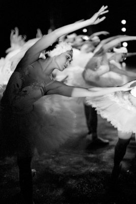 img234.jpg