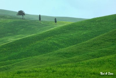 rolling hills of the Orcia valley