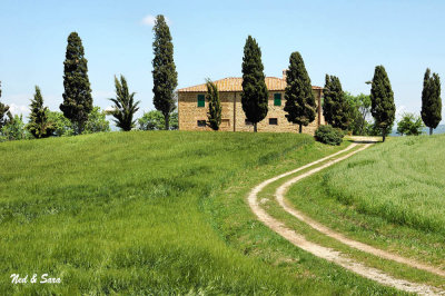 villa and  cypress