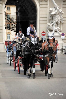 Horse carriages