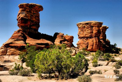 rock formation  in Canyonlands N.P.