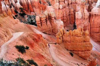 contemplating the hoodoos - Bryce Canyon