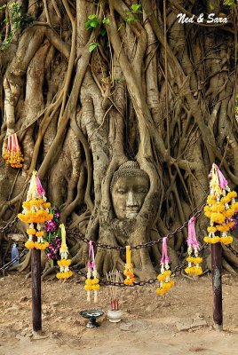 Buddha head at  Wat Maha That