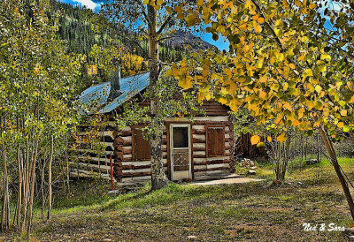 cabin and autumn  leaves