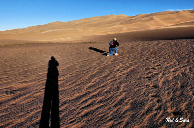 long shadows