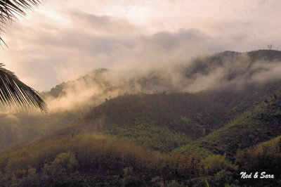 early morning fog in the hillsides
