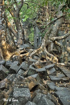 rock and root jumble - Beng Malea site - Angkor