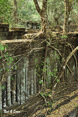 Beng Malea site  - Angkor
