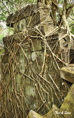 vine covered Beng Malea site - Angkor