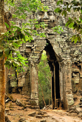 Angkor Wat -  west gate