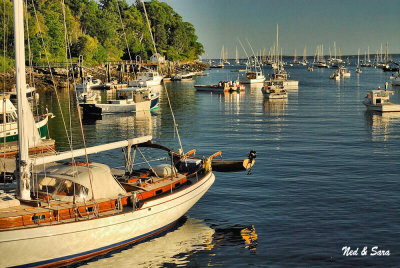 evening light on  the bay