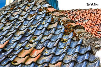 typical blue  tile roof
