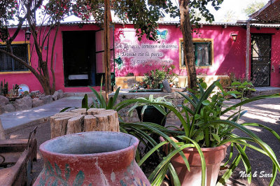 shady courtyard  in San Ignacio