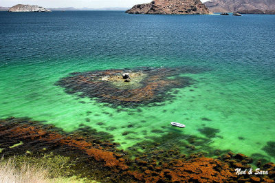 diving at Bahia  de Concepcion