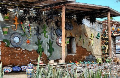 shop in Todos  Santos