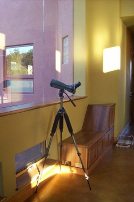 A 'must have' for viewing Kinesava and hopefully condors!