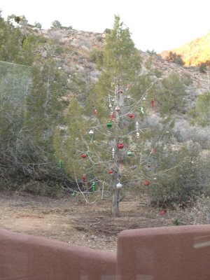 So sweet that Jim decorated the tree for me