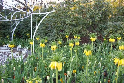 Quite unusual flowers