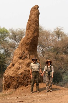See how tall the termite mounds can grow?