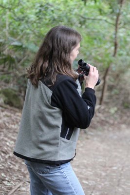 Cyn continues to search for lyrebirds
