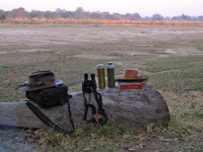 Still life from game drives